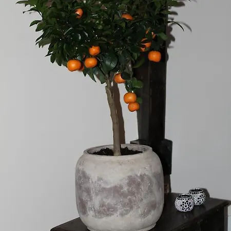 Het Torentje Wageningen