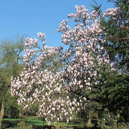 Het Torentje Wageningen
